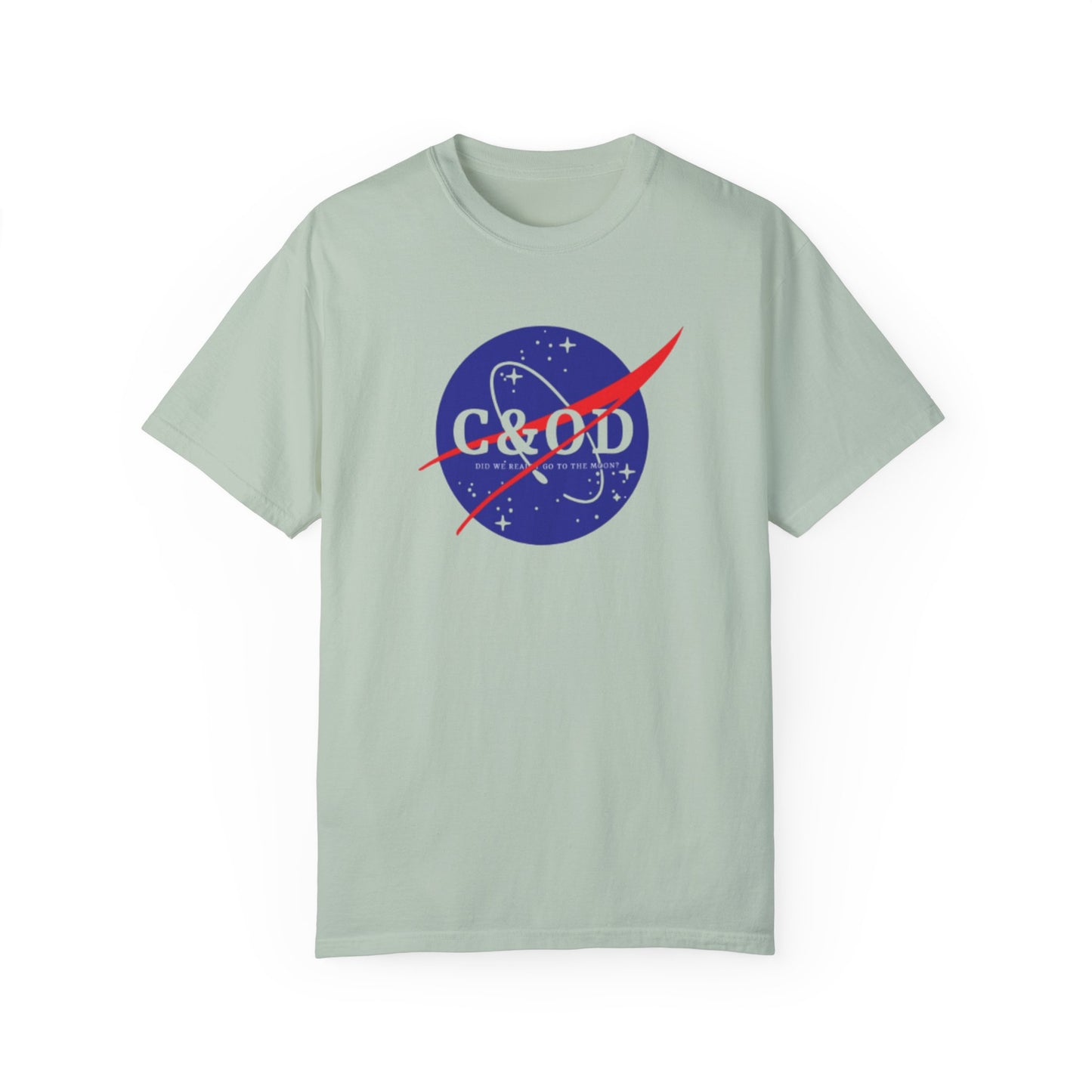 Did we really go to the moon?