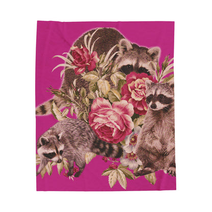 Raccoon Nap Time